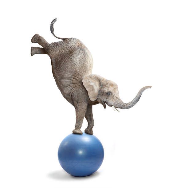 Work/Life Balance