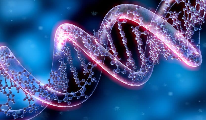 Reducing Uncertainty With Genetic Algorithms